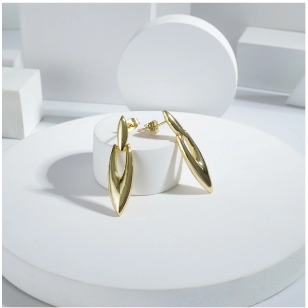 Dropship Women's Stainless Steel Gold Earrings (Gold Plated)