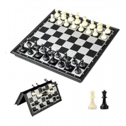 Plastic Chess Board Game For Kids And Adults (Multicolor )