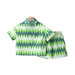 Kid's Lycra Printed Casual wear Shirt And Shorts Set (Green)
