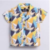 Dropship Boy's Lycra Blend Printed Short Sleeve Shirt and Shorts Set (MultiColor)