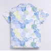 Dropship Boy's Cotton Blend Printed Short Sleeve Shirt and Shorts Set (MultiColor)