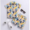 Dropship Boy's Lycra Blend Printed Short Sleeve Shirt and Shorts Set (MultiColor)