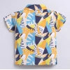 Dropship Boy's Lycra Blend Printed Short Sleeve Shirt and Shorts Set (MultiColor)