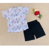 Dropship Boy's Cotton Blend Printed Short Sleeve Shirt and Shorts Set (MultiColor)