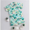 Dropship Boy's Lycra Blend Printed Short Sleeve Shirt and Shorts Set (MultiColor)