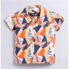 Dropship Boy's Lycra Blend Printed Short Sleeve Shirt and Shorts Set (MultiColor)