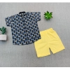 Dropship Boy's Cotton Blend Printed Short Sleeve Shirt and Shorts Set (MultiColor)