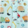 Dropship Boy's Cotton Blend Printed Short Sleeve Shirt and Shorts Set (MultiColor)