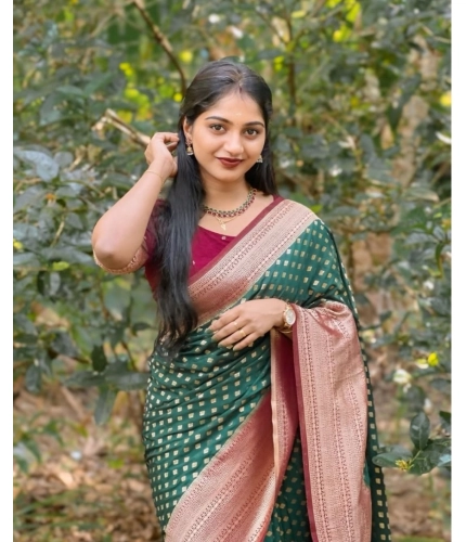 Women's Silk Printed Saree With Unstitched Blouse 5.5Mtr (Green-Red) Women's Silk Printed Saree With Unstitched Blouse 5.5Mtr (Green-Red)