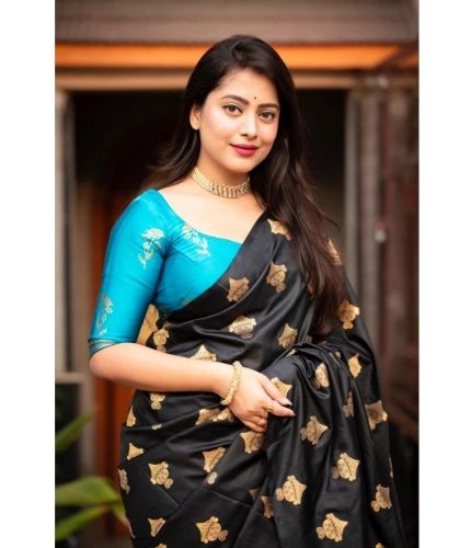 Women's Silk Printed Saree With Unstitched Blouse 5.5Mtr (Sky Blue) Women's Silk Printed Saree With Unstitched Blouse 5.5Mtr (Sky Blue)