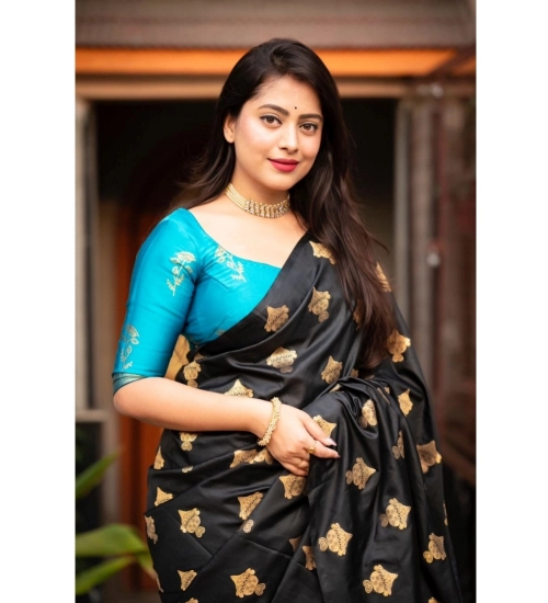 Women's Silk Printed Saree With Unstitched Blouse 5.5Mtr (Sky Blue)