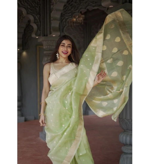 Women's Cotton  Printed Saree With Unstitched Blouse 5.5Mtr (Pista)