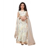 Dropship Girl's Chiffon Printed Lehenga Choli Set (Green)