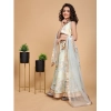 Dropship Girl's Chiffon Printed Lehenga Choli Set (Green)