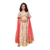 Dropship Girl's Chiffon Printed Lehenga Choli Set (Beige)