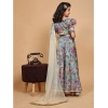 Dropship Girl's Chiffon Printed Lehenga Choli Set (Multicolor)