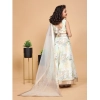 Dropship Girl's Chiffon Printed Lehenga Choli Set (Green)