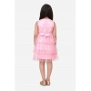 Dropship Girl's Net Embellished Sleeveless Round Neck Dress (Pink)