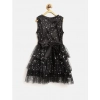 Dropship Girl's Net Embellished Sleeveless V-Neck Dress (Black)