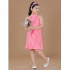 Dropship Girl's Polyester Crepe Printed Sleeveless Round Neck Dress (Pink)