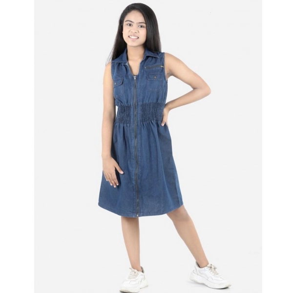 Dropship Girl's Denim Solid Sleeveless Shirt collar Dress (Blue)