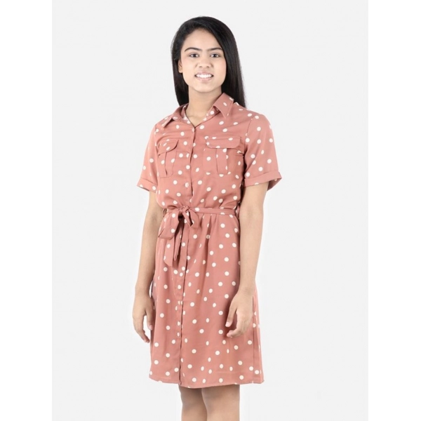 Dropship Girl's Polyester Printed Short Sleeve Shirt collar Dress (Brown)