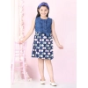 Dropship Girl's Denim  Rayon Printed Sleeveless Round Neck Dress (Blue)