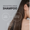 Unisex Protein Shea Butter Shampoo (350 ML) Unisex Protein Shea Butter Shampoo (350 ML)
