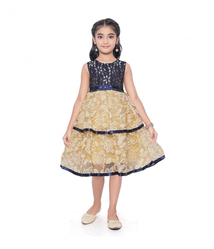 Girl's Fancy Net Net Sleeve Less Round Neck Dress (Blue)