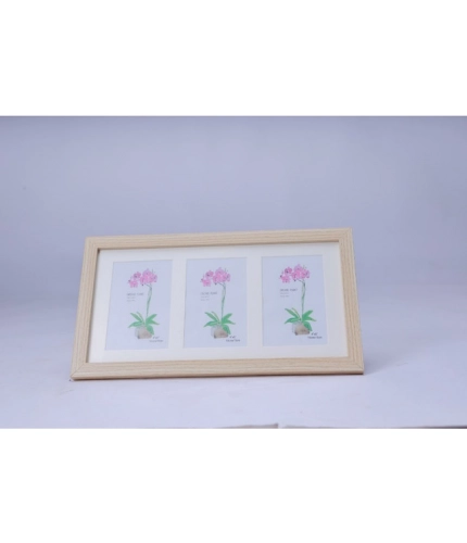 Acrylic Cactus Image Frame (Multicolor)