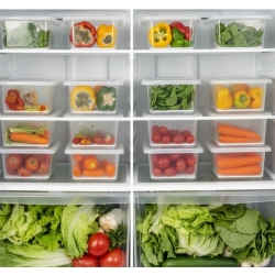 Plastic 6-Pcs Set Food Container With Dividers Large Serving Tray (Multicolor)