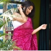 Women's Georgette Printed Saree With Unstitched Blouse 5.5Mtr (Pink)
