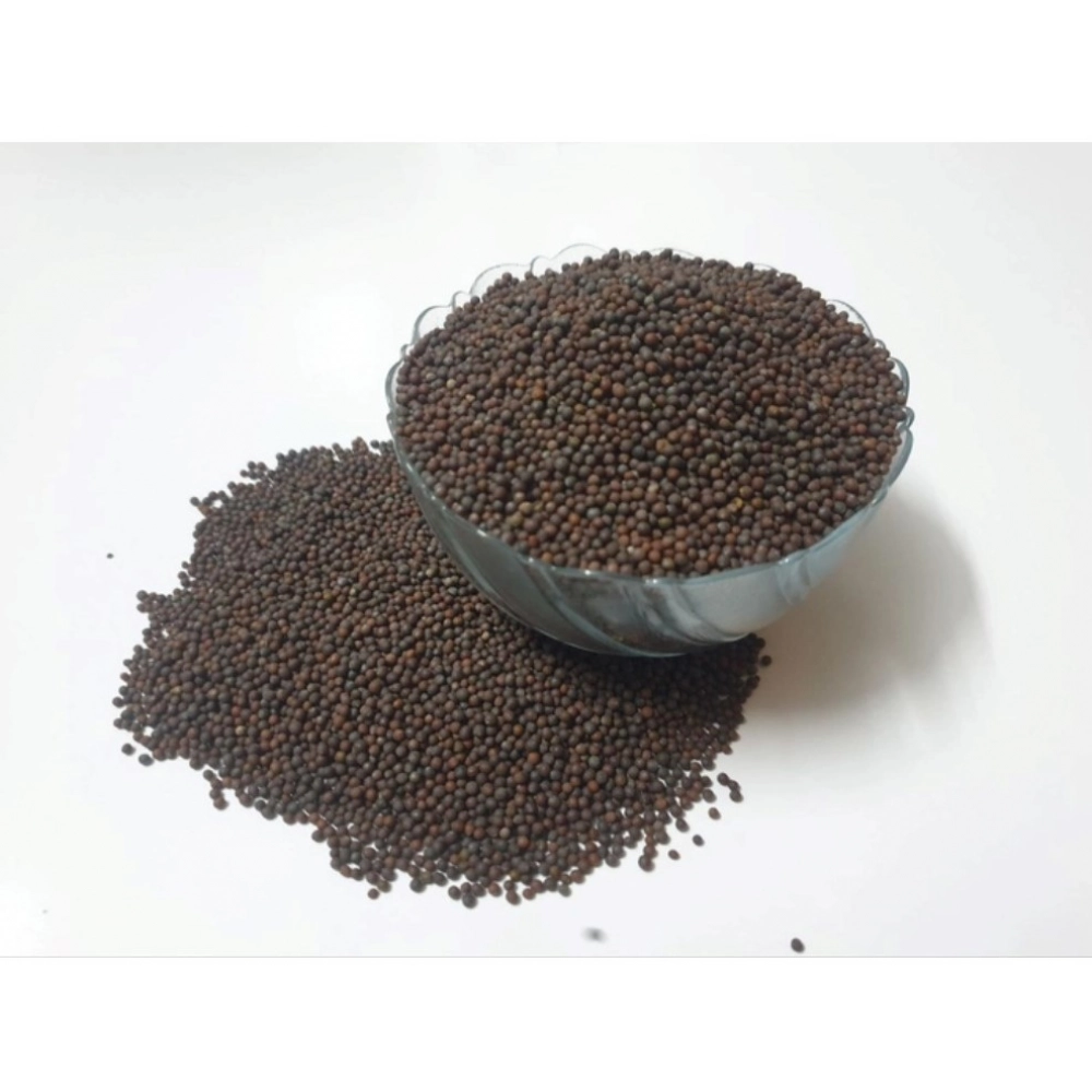 Mustard Microgreen Seeds – Easy to Grow, Quick Harvest