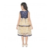 Girl's Fancy Net Net Sleeve Less Round Neck Dress (Blue)