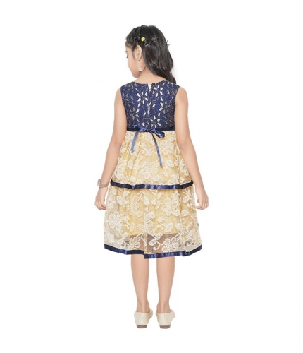 Girl's Fancy Net Net Sleeve Less Round Neck Dress (Blue)