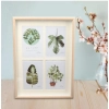 Acrylic Four Collage In One Frame To Add Any Images (Multicolor)