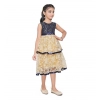 Girl's Fancy Net Net Sleeve Less Round Neck Dress (Blue)