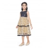 Girl's Fancy Net Net Sleeve Less Round Neck Dress (Blue)