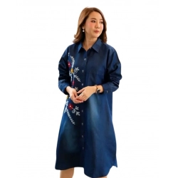 Women's Casual Denim Full sleeve Dress (Blue)