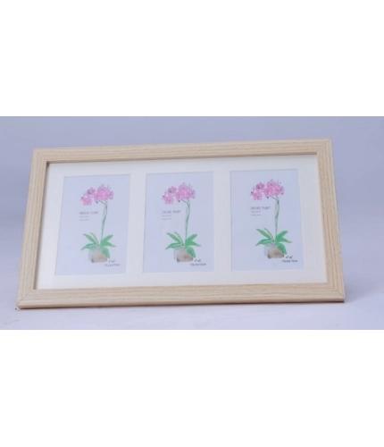 Acrylic Cactus Image Frame (Multicolor)
